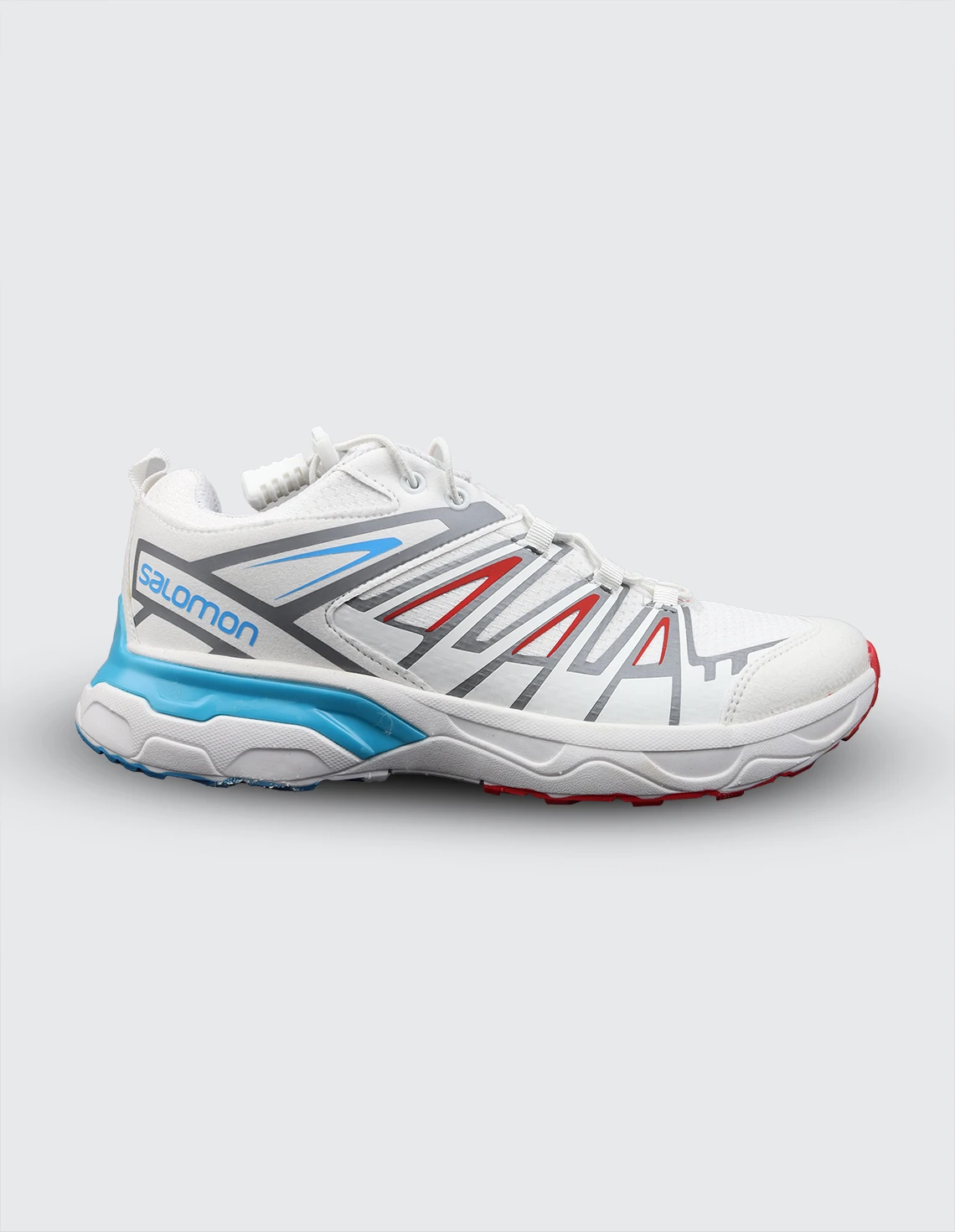 کفش ورزشی مردانه سالامون X Ultra 3 GTX M