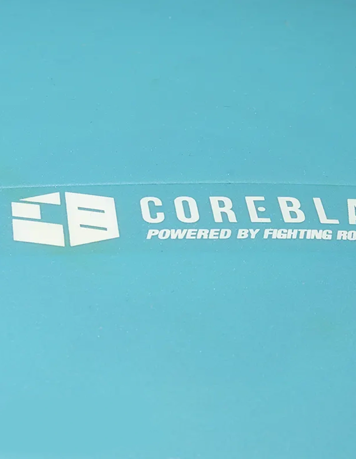 توپ بدنسازی Unisex بدون برند کوشن بال COREBLADE